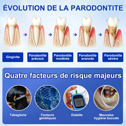 🇫🇷🦷 PURELORA® GumRevive Gel réparateur parodontal (Pour les saignements de gencives, la récession gingivale et les dents mobiles)