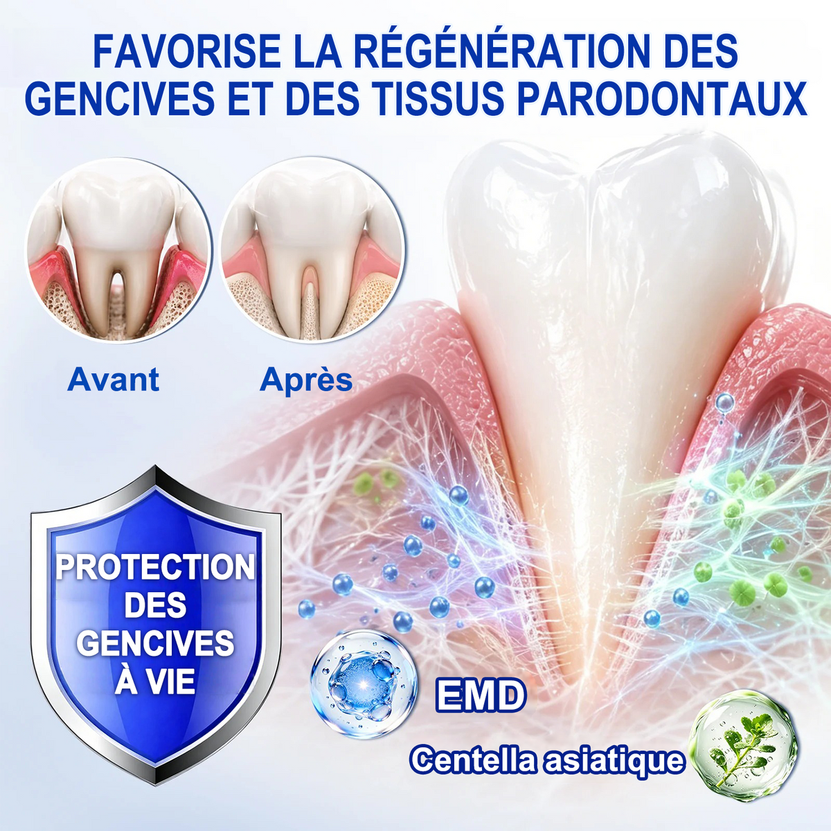 🇫🇷🦷 PURELORA® GumRevive Gel réparateur parodontal (Pour les saignements de gencives, la récession gingivale et les dents mobiles)