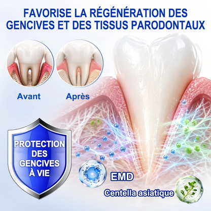 🇫🇷🦷 PURELORA® GumRevive Gel réparateur parodontal (Pour les saignements de gencives, la récession gingivale et les dents mobiles)