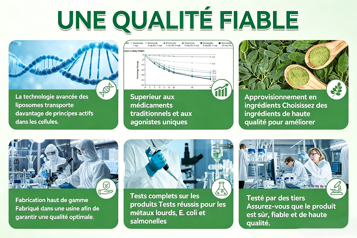 Boutique Officielle Curalona® | Patch Minceur Micro-aiguilles 10-en-1 au Moringa, Berbérine & NAD+ — Pour une Silhouette Plus Ferme et Affinée