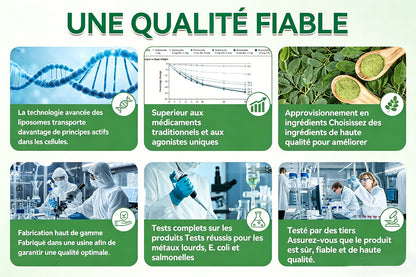 Boutique Officielle Curalona® | Patch Minceur Micro-aiguilles 10-en-1 au Moringa, Berbérine & NAD+ — Pour une Silhouette Plus Ferme et Affinée