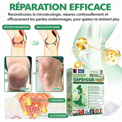 🔥 Parches de Microneedles 10 en 1 Mejorados de Curalona® — Sinergia de Berberina y NAD+ para favorecer la salud metabólica, promover la renovación cutánea y aliviar las molestias articulares — Resultados visibles en 7 días